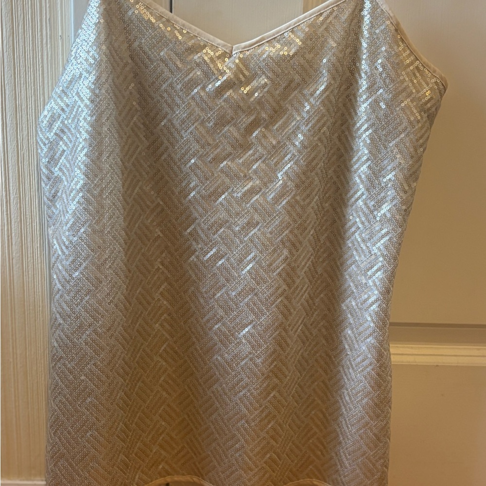 Banana Republic Silver Camisole